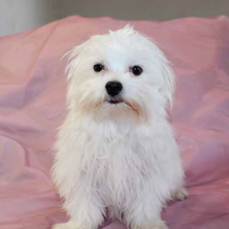 benny5